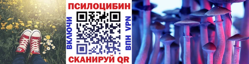 Купить  Сосновоборск  Псилоцибиновые грибы мицелий 